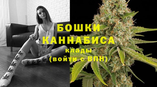 хмурый Дмитриев
