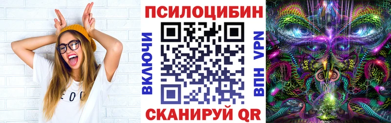 Псилоцибиновые грибы Cubensis  купить  цена  Черногорск 