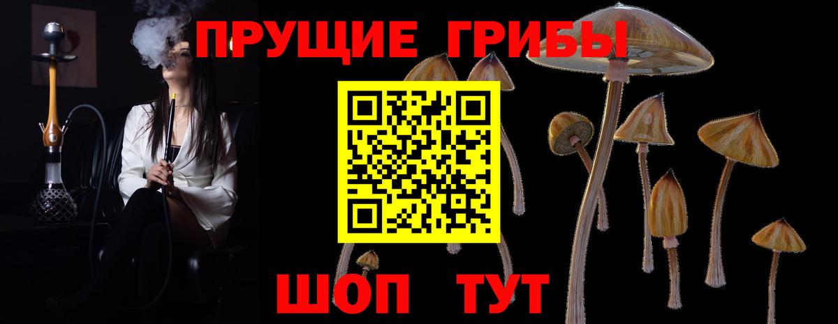 Галлюциногенные грибы Cubensis  Псилоцибиновые грибы Magic Shrooms  Вход с VPN  Черногорск 